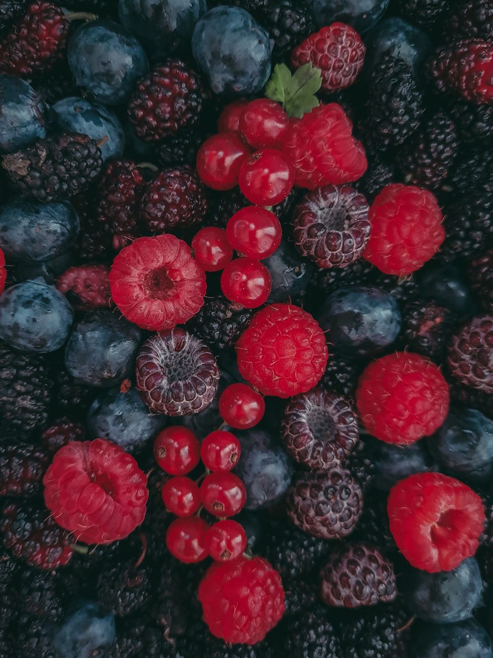 berry, fruit, food and drink, food, healthy eating, red, freshness, raspberry, wellbeing, blackberry, plant, berries, produce, no people, large group of objects, strawberry, full frame, directly above, abundance, blueberry, still life, high angle view, close-up, backgrounds, indoors, ripe, juicy, flower, sweet food, organic, variation