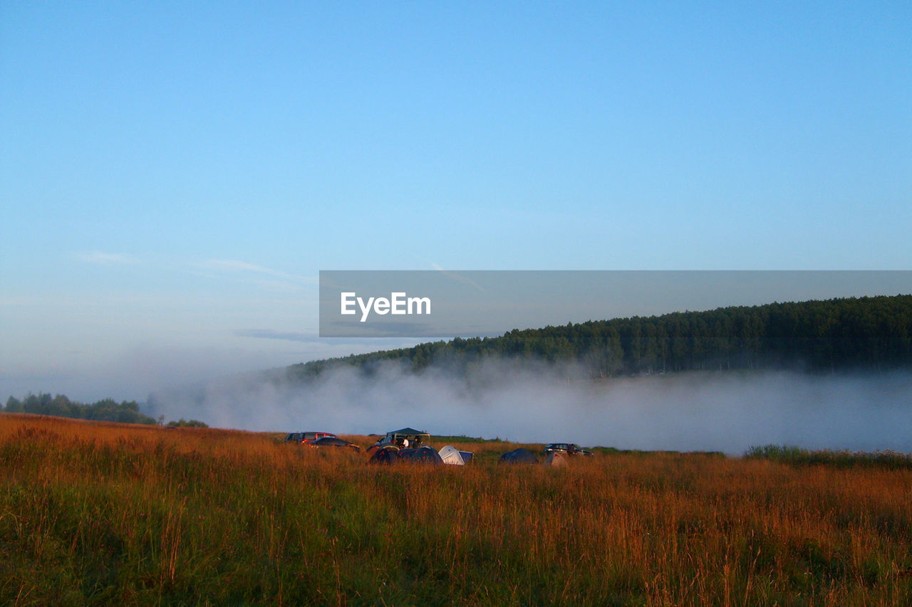 SCENIC VIEW OF FARM AGAINST SKY