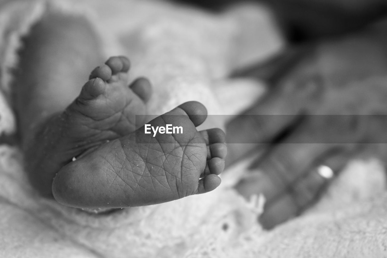 close-up, baby, newborn, hand, black and white, child, human foot, childhood, finger, monochrome photography, beginnings, babyhood, adult, barefoot, two people, human leg, toddler, family, emotion, indoors, black, monochrome, bonding, togetherness, love, white, person, fragility, positive emotion, women, limb, sole of foot, care, lifestyles, focus on foreground, selective focus, parent, relaxation