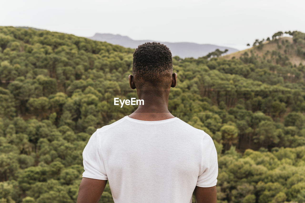 Back view of pensive african american male in trendy clothes standing in nature and admiring view of mountainous forest