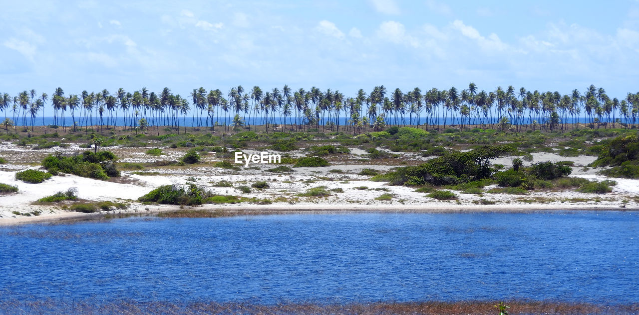 Scenic view of beach against sky