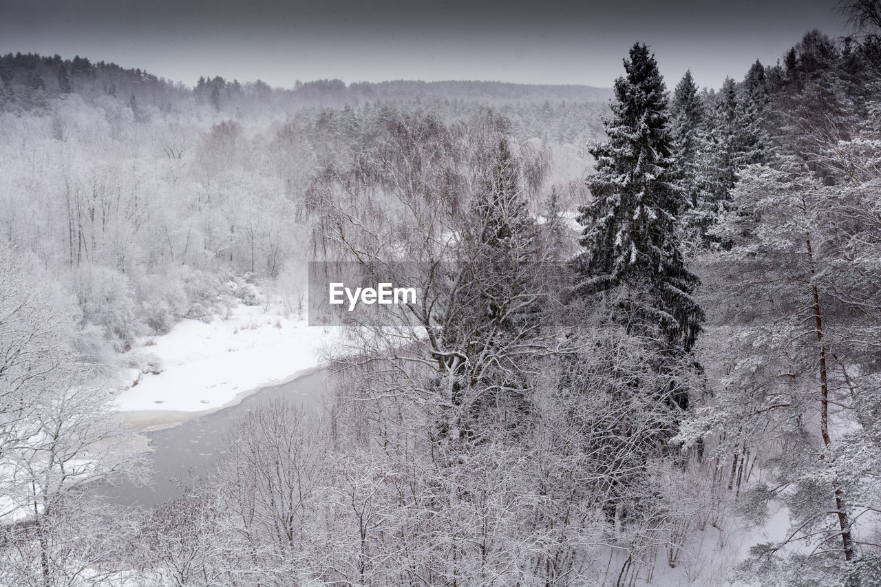 Scenic view of river in forest during winter