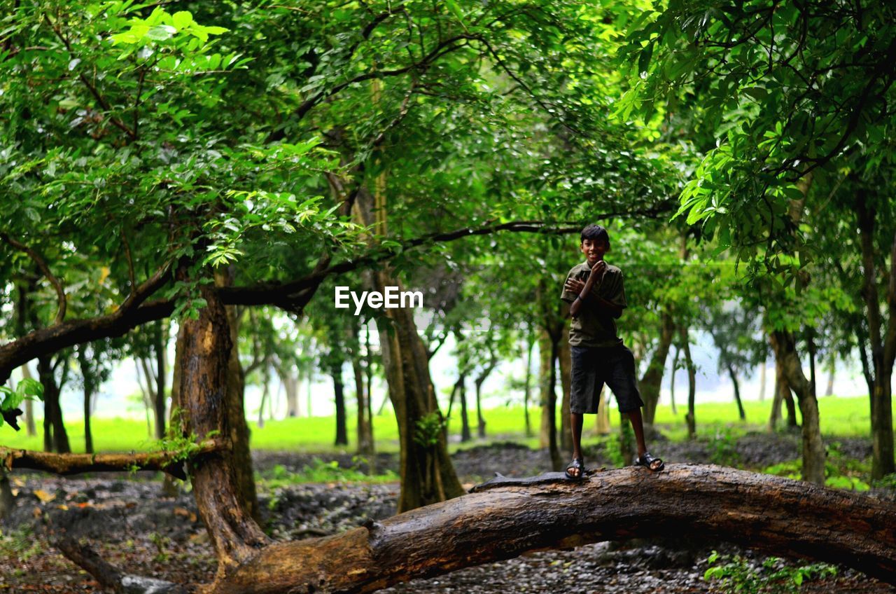 REAR VIEW OF MAN STANDING ON TREE TRUNK