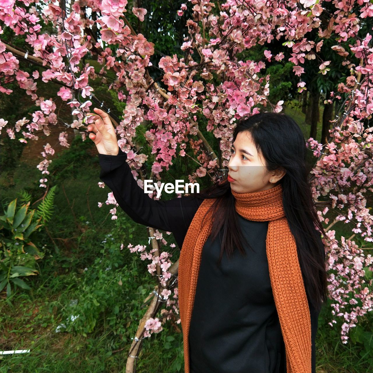 Beautiful young woman touching flowers at park