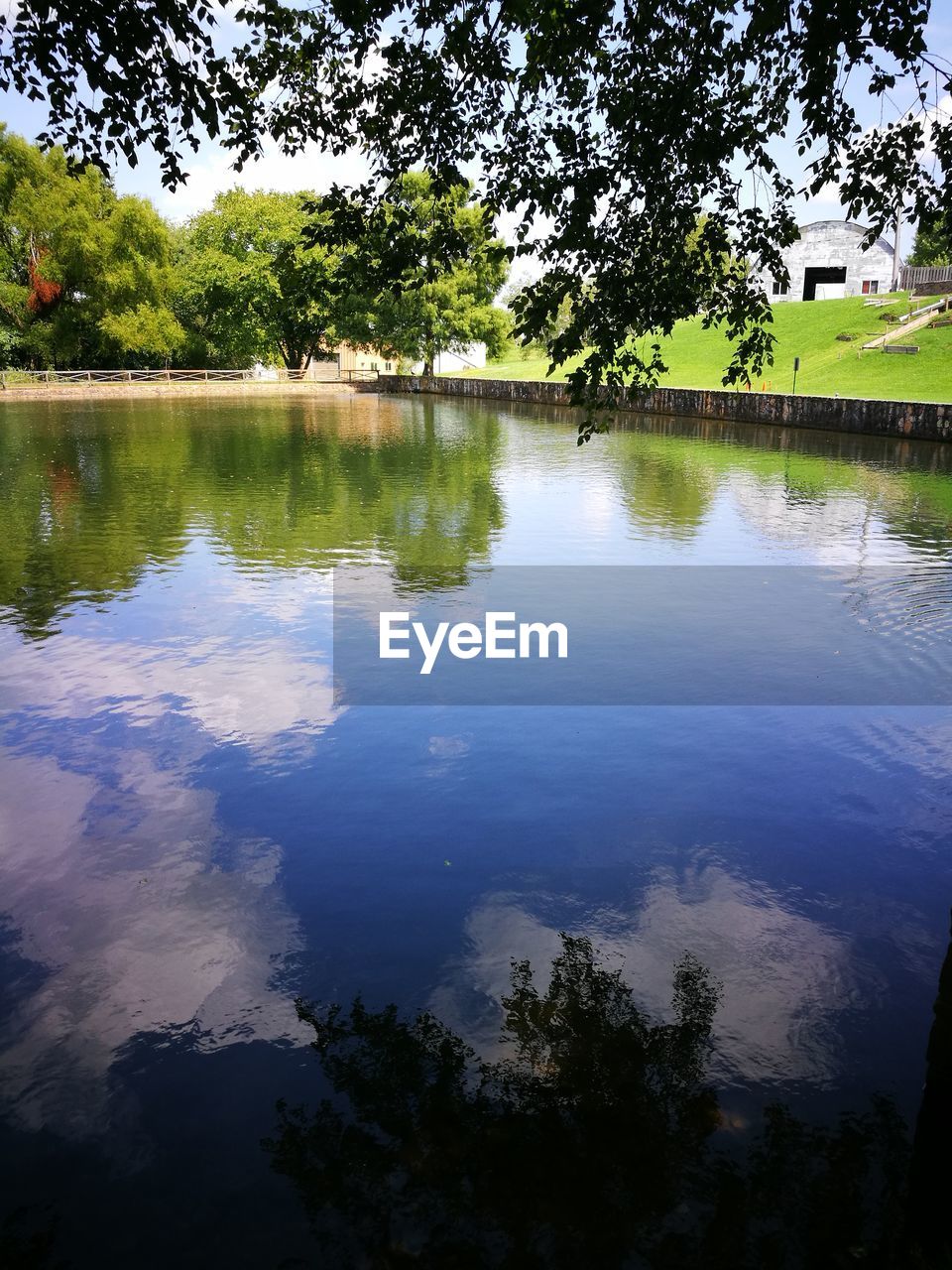 SCENIC VIEW OF LAKE AGAINST TREES