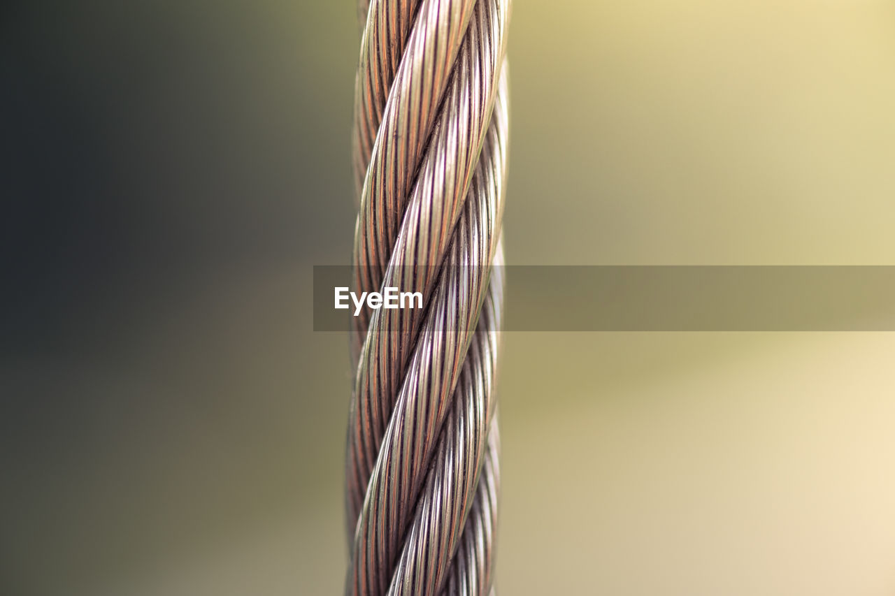 CLOSE UP OF TALL GRASS AGAINST SKY