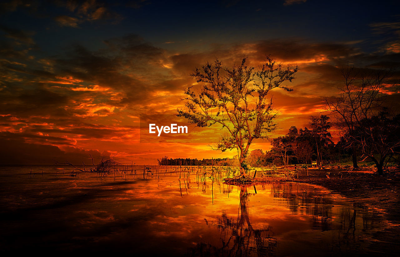 SILHOUETTE TREES BY SEA AGAINST ROMANTIC SKY AT SUNSET