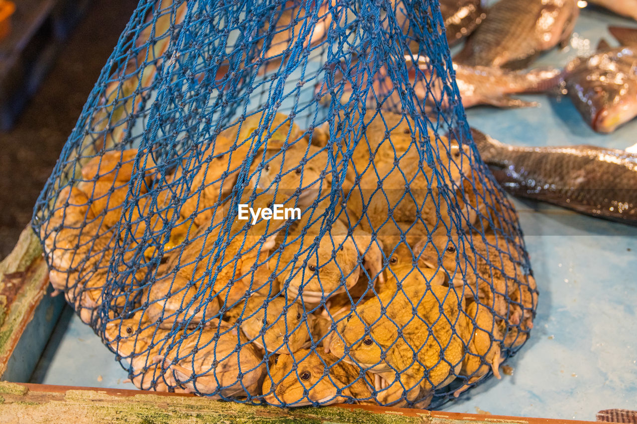 CLOSE-UP OF FISHING NET HANGING ON SEA