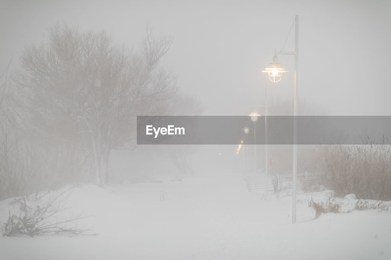 SNOW COVERED FIELD BY TREES AGAINST SKY