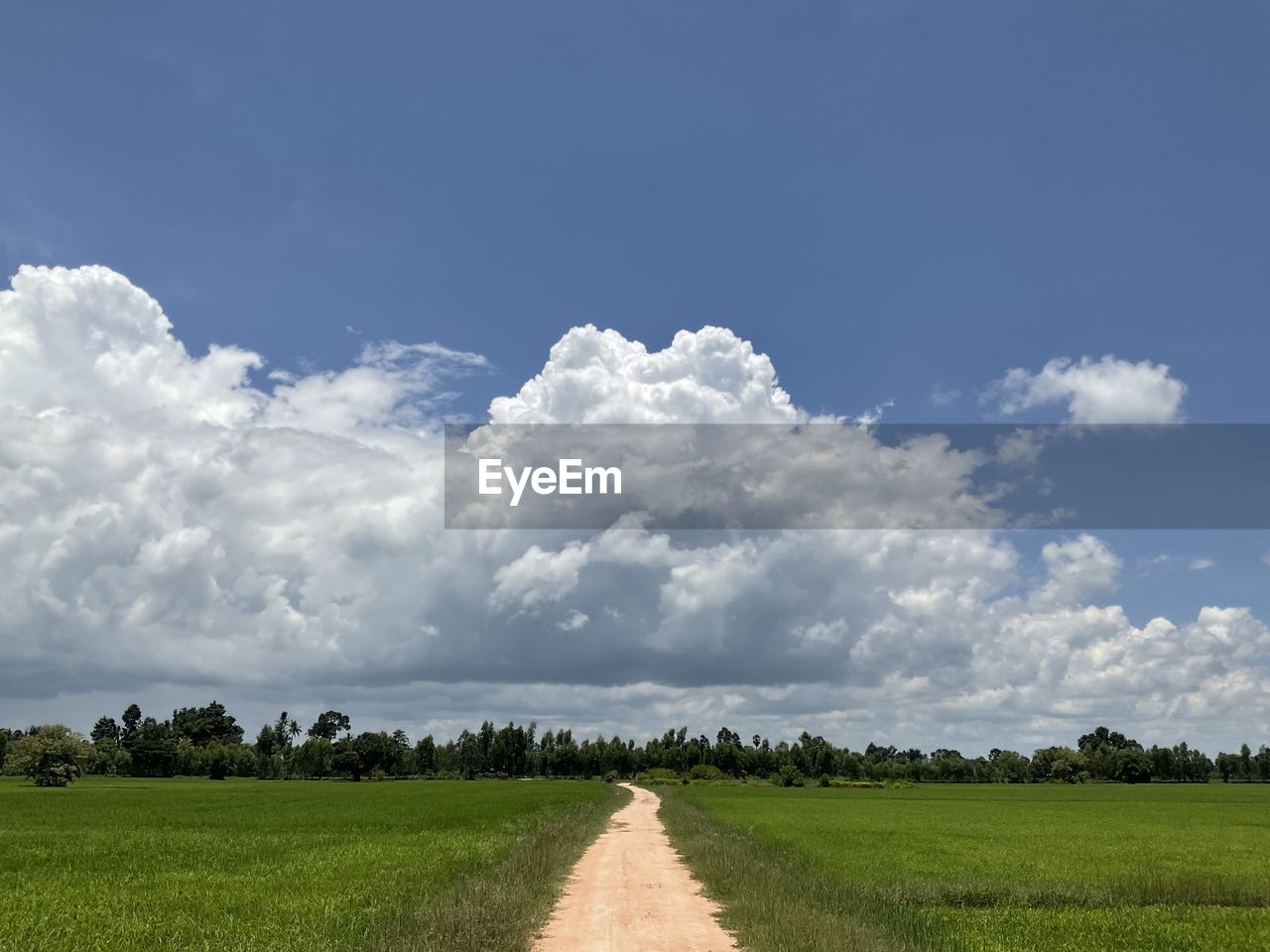 sky, cloud, landscape, environment, horizon, field, plant, plain, grassland, grass, nature, prairie, land, meadow, rural area, rural scene, scenics - nature, beauty in nature, agriculture, tree, the way forward, blue, road, no people, tranquility, green, hill, cloudscape, outdoors, diminishing perspective, day, vanishing point, tranquil scene, pasture, travel, transportation, non-urban scene, crop, food and drink, summer, food, horizon over land, footpath, cereal plant, farm, dirt, dirt road, sunlight