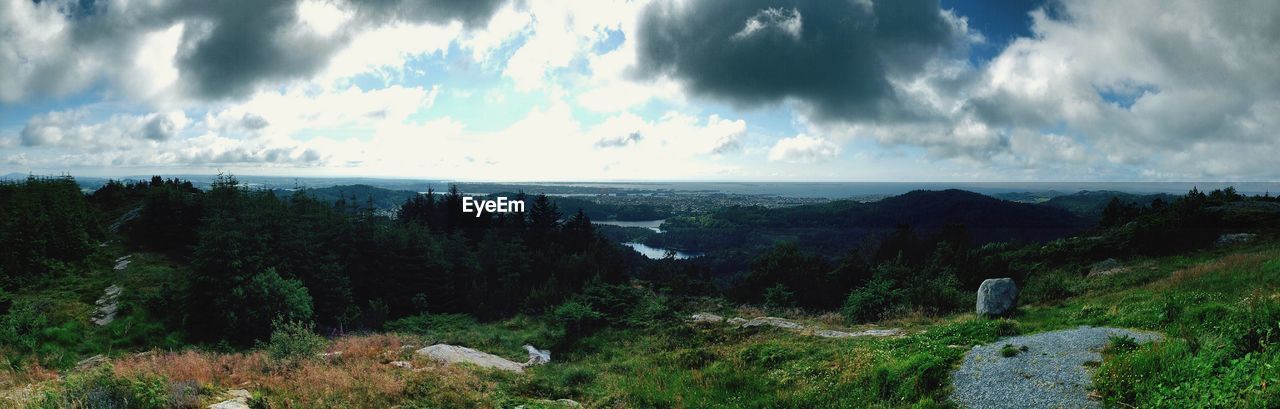 PANORAMIC VIEW OF LANDSCAPE AND TREES AGAINST SKY