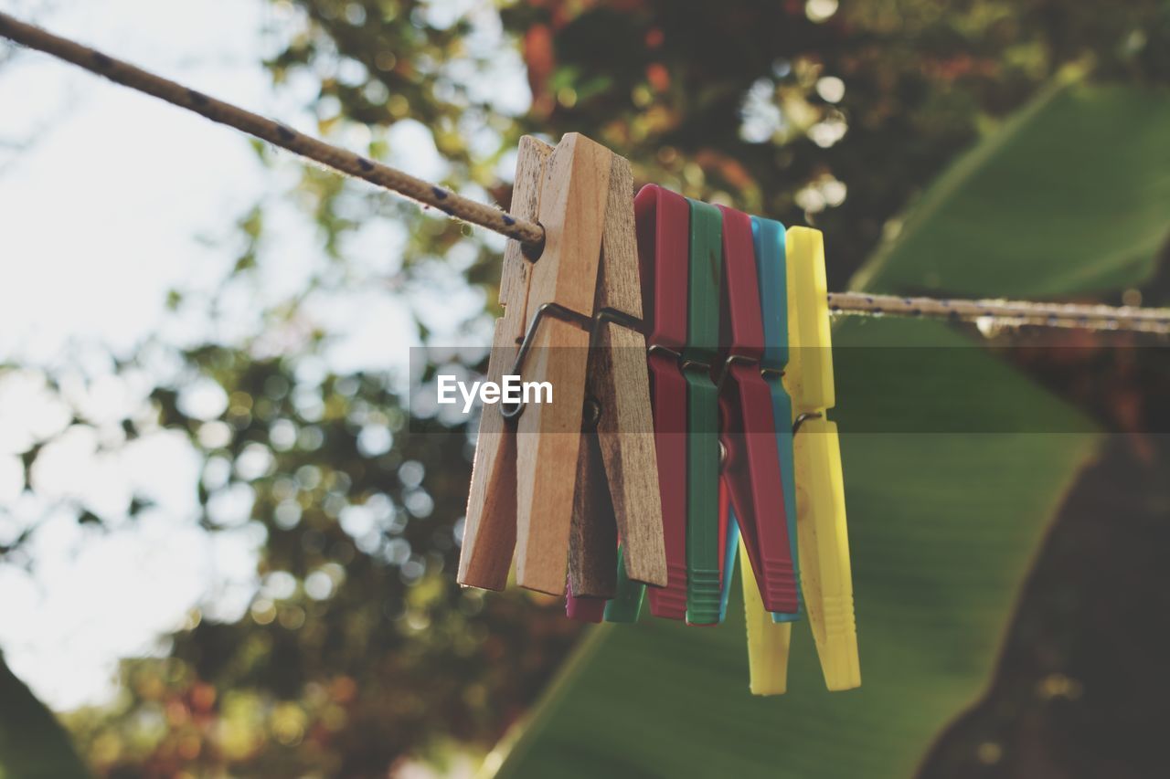 Close-up of clothes pins hanging on rope