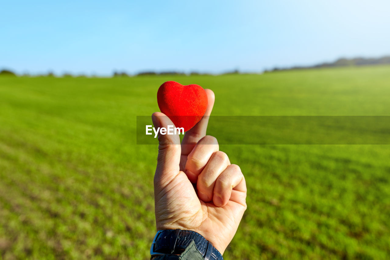 MIDSECTION OF PERSON HOLDING HEART SHAPE MADE OF FRESH RED LAND