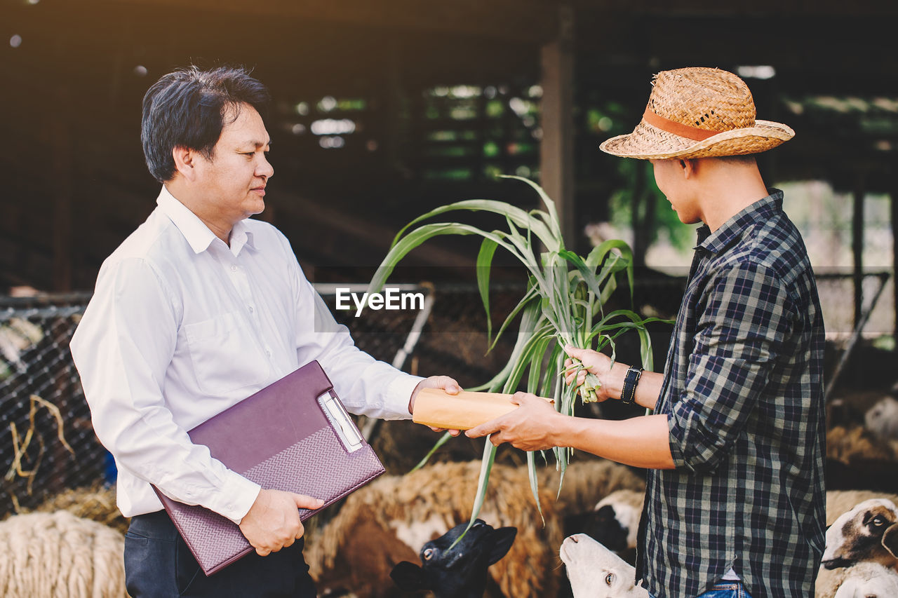 Financial advisor shaking hand with farmer at farm