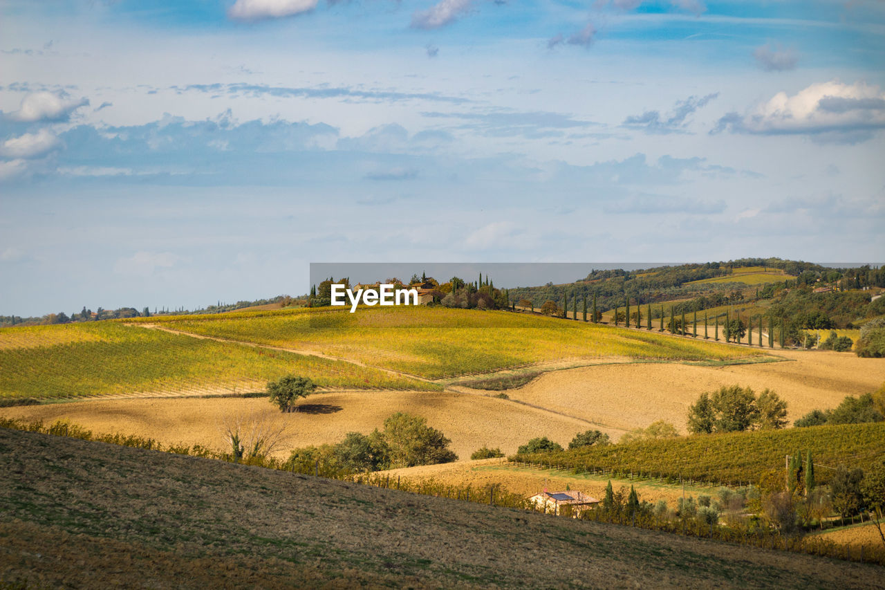 Scenic view of farm against sky