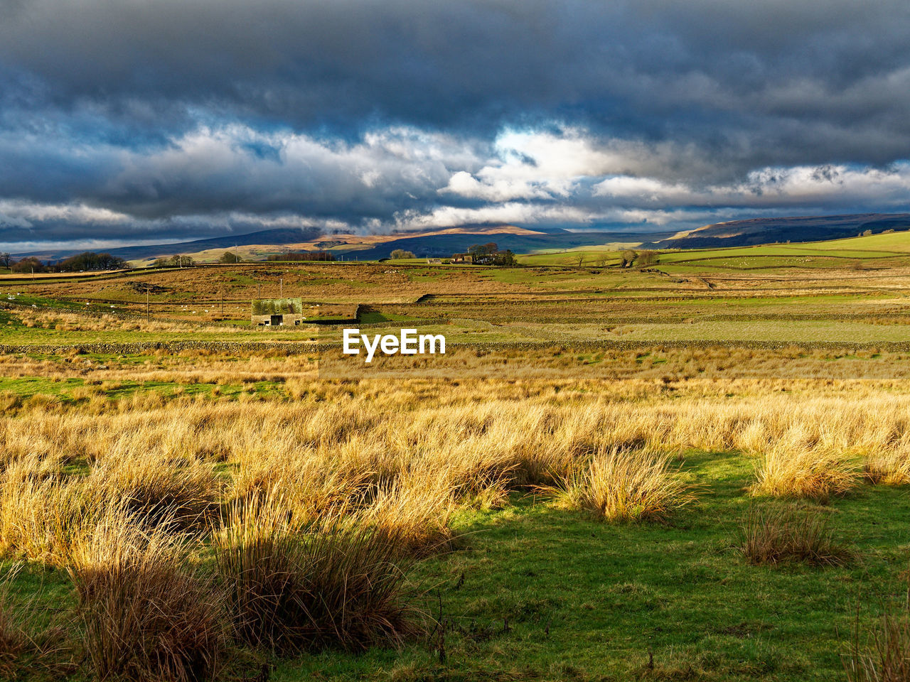 landscape, environment, cloud, sky, land, grassland, grass, plant, nature, scenics - nature, beauty in nature, field, plain, horizon, prairie, rural scene, agriculture, steppe, hill, natural environment, dramatic sky, no people, tranquility, rural area, tranquil scene, meadow, non-urban scene, travel destinations, storm, green, outdoors, cloudscape, travel, storm cloud, overcast, farm, wilderness, summer, crop, sunlight, cereal plant, marsh, plateau, tourism, day, morning, environmental conservation, tree, mountain range, moody sky, idyllic, remote, barley, social issues, growth, pasture, water, cold temperature, food, atmospheric mood, horizon over land