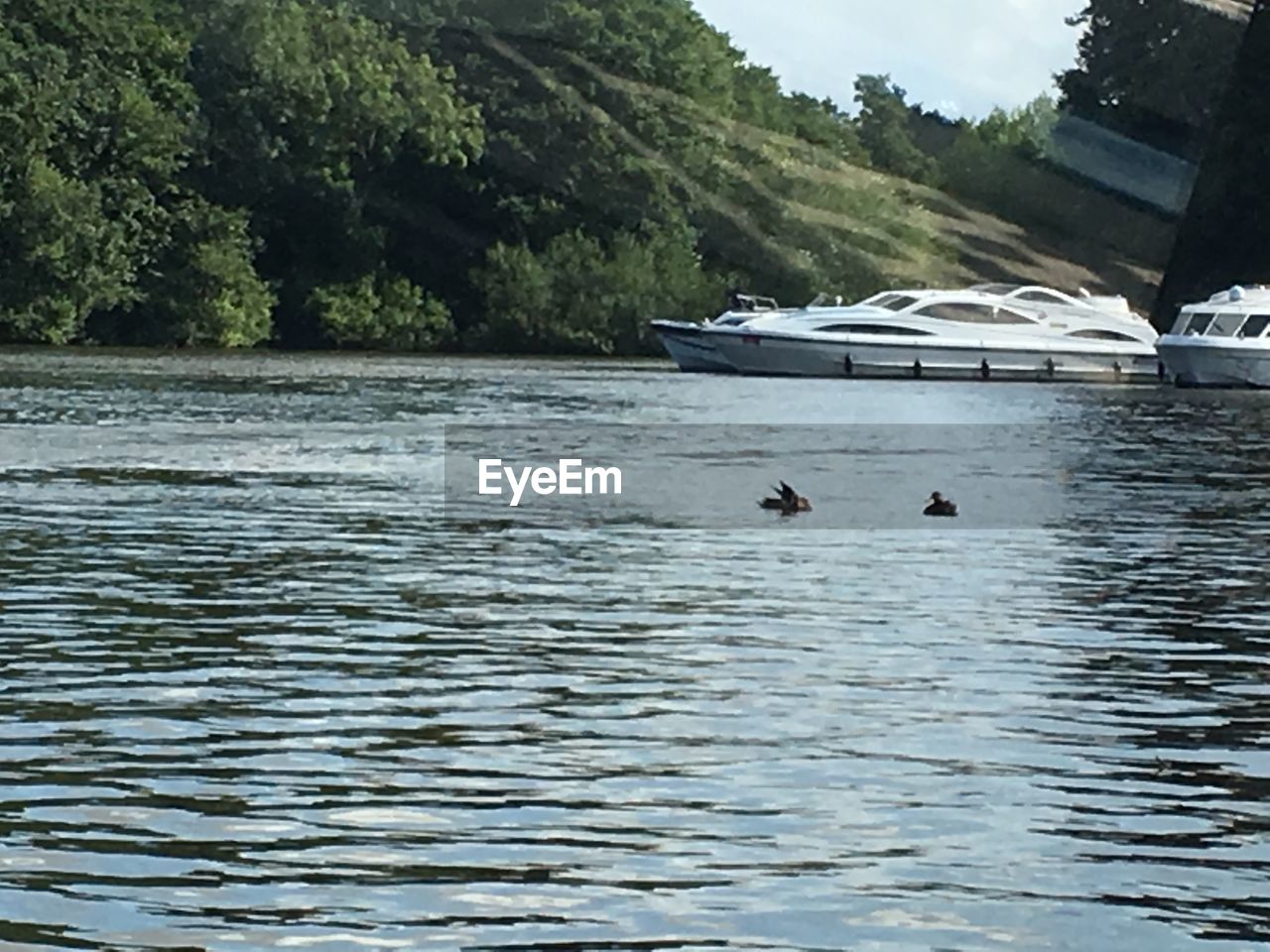 SCENIC VIEW OF LAKE