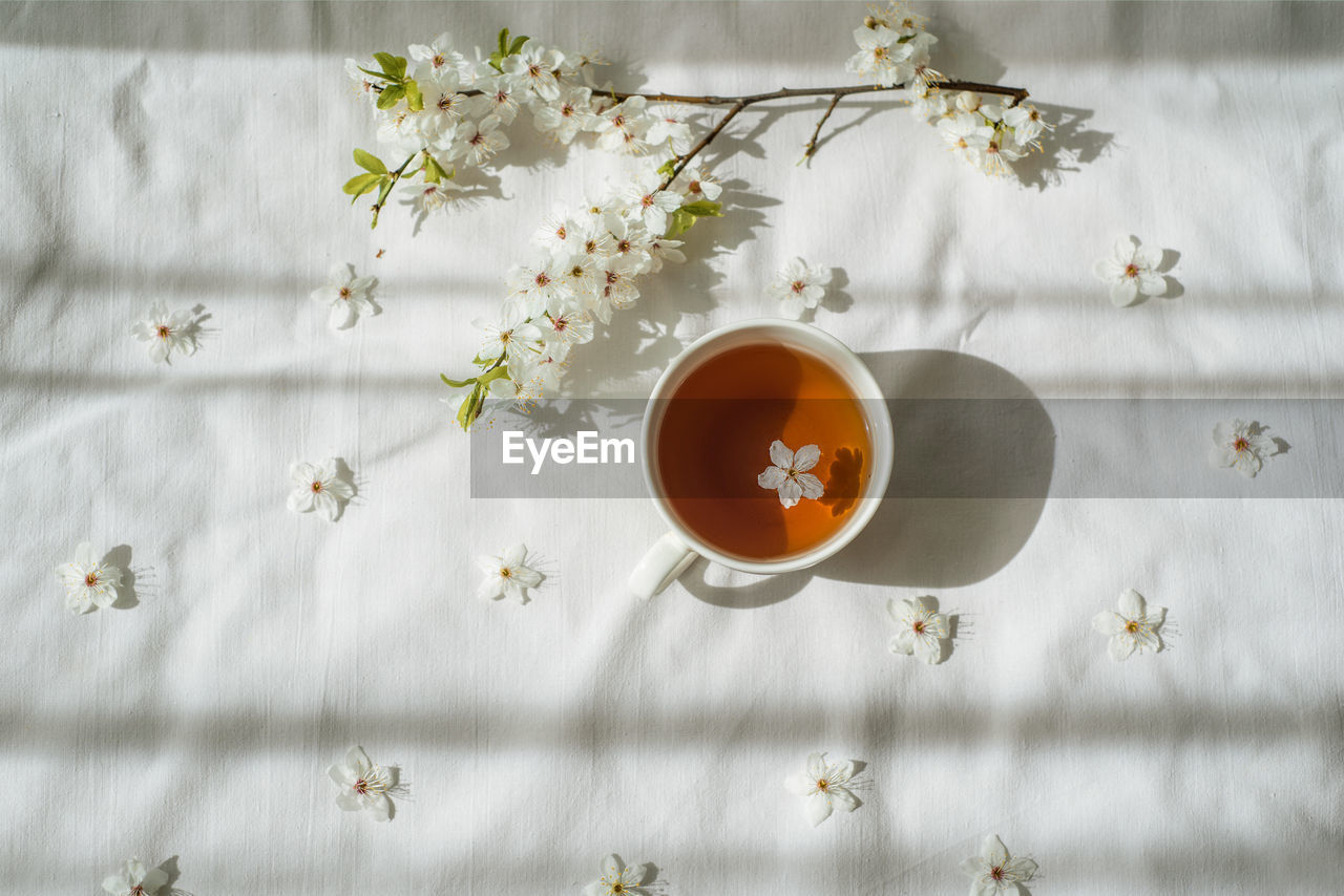DIRECTLY ABOVE SHOT OF TEA SERVED ON TABLE IN SUNLIGHT
