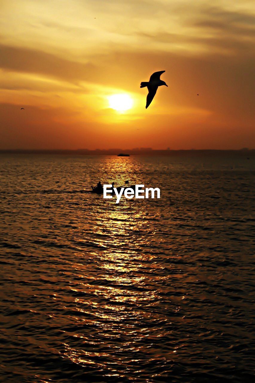 Seabird flying over and small boat sailing on calm sea at sunset