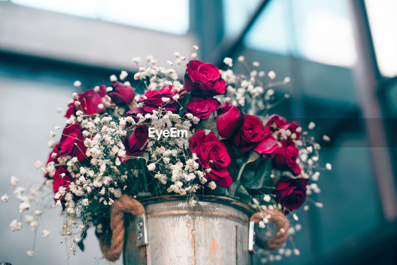 Close-up of rose bouquet in vase