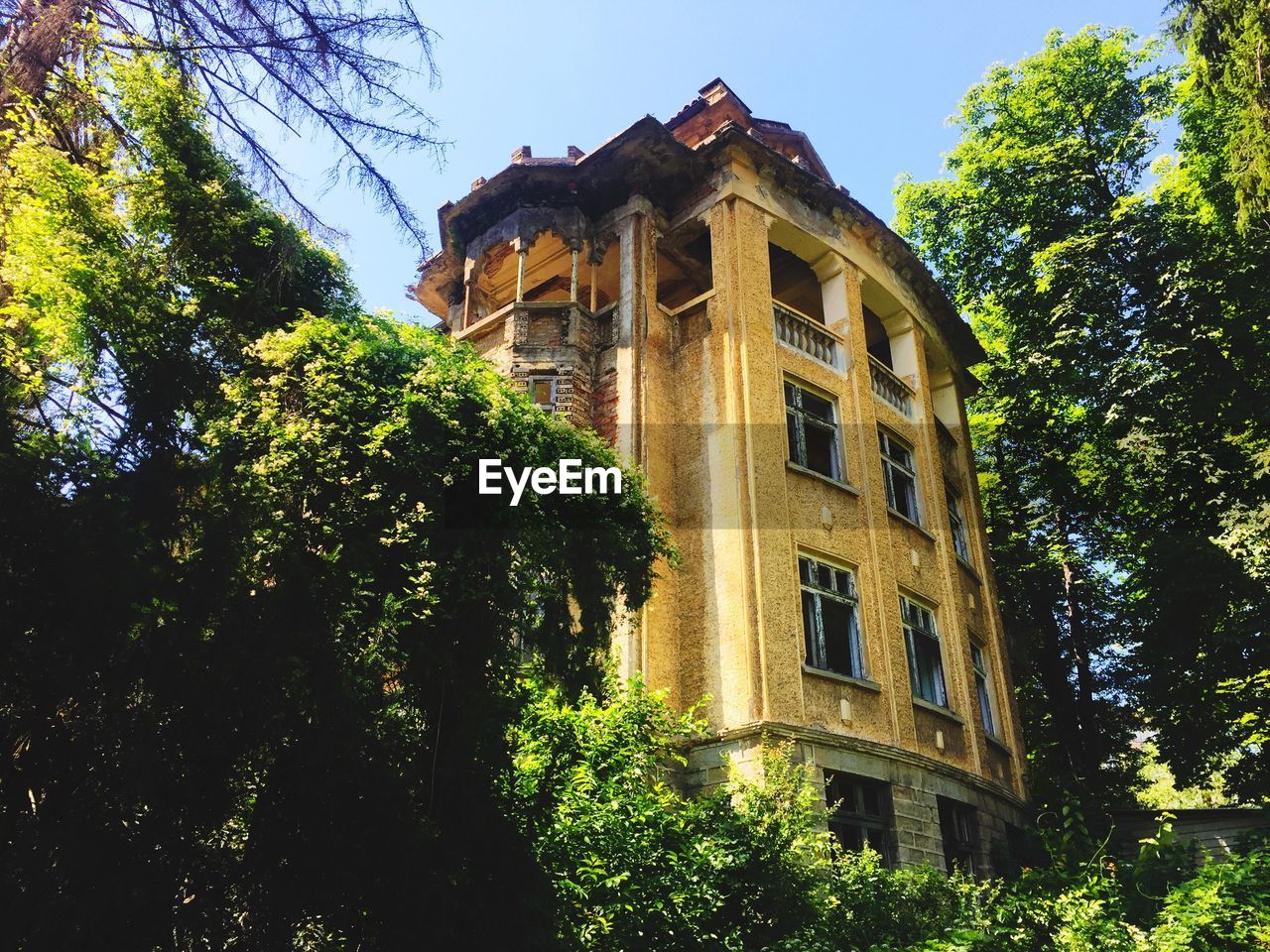 LOW ANGLE VIEW OF TREES AGAINST BUILDING