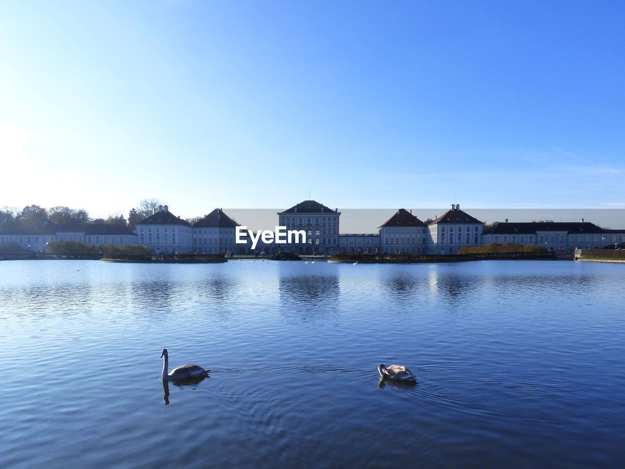 VIEW OF DUCKS SWIMMING IN LAKE