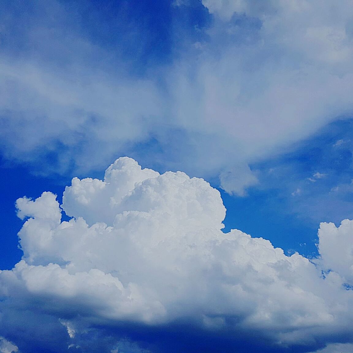 LOW ANGLE VIEW OF DRAMATIC SKY