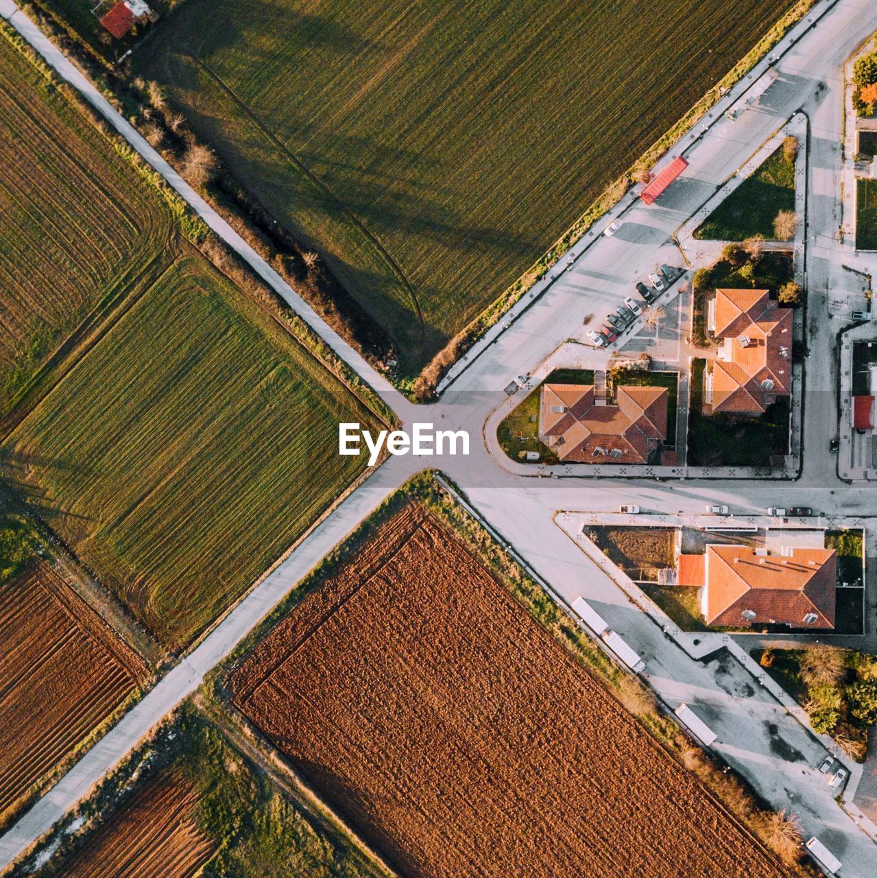 High angle view of agricultural field