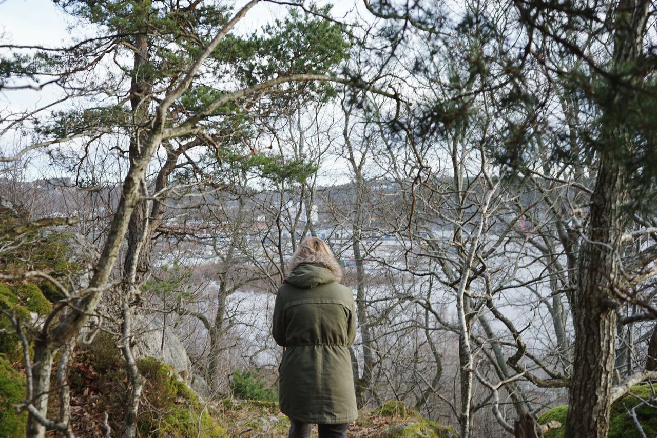 REAR VIEW OF STATUE AGAINST BARE TREES