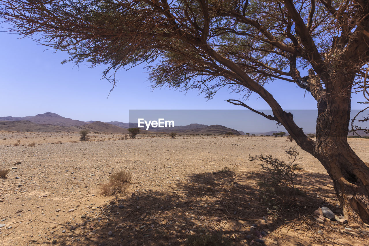 SCENIC VIEW OF LAND AGAINST SKY