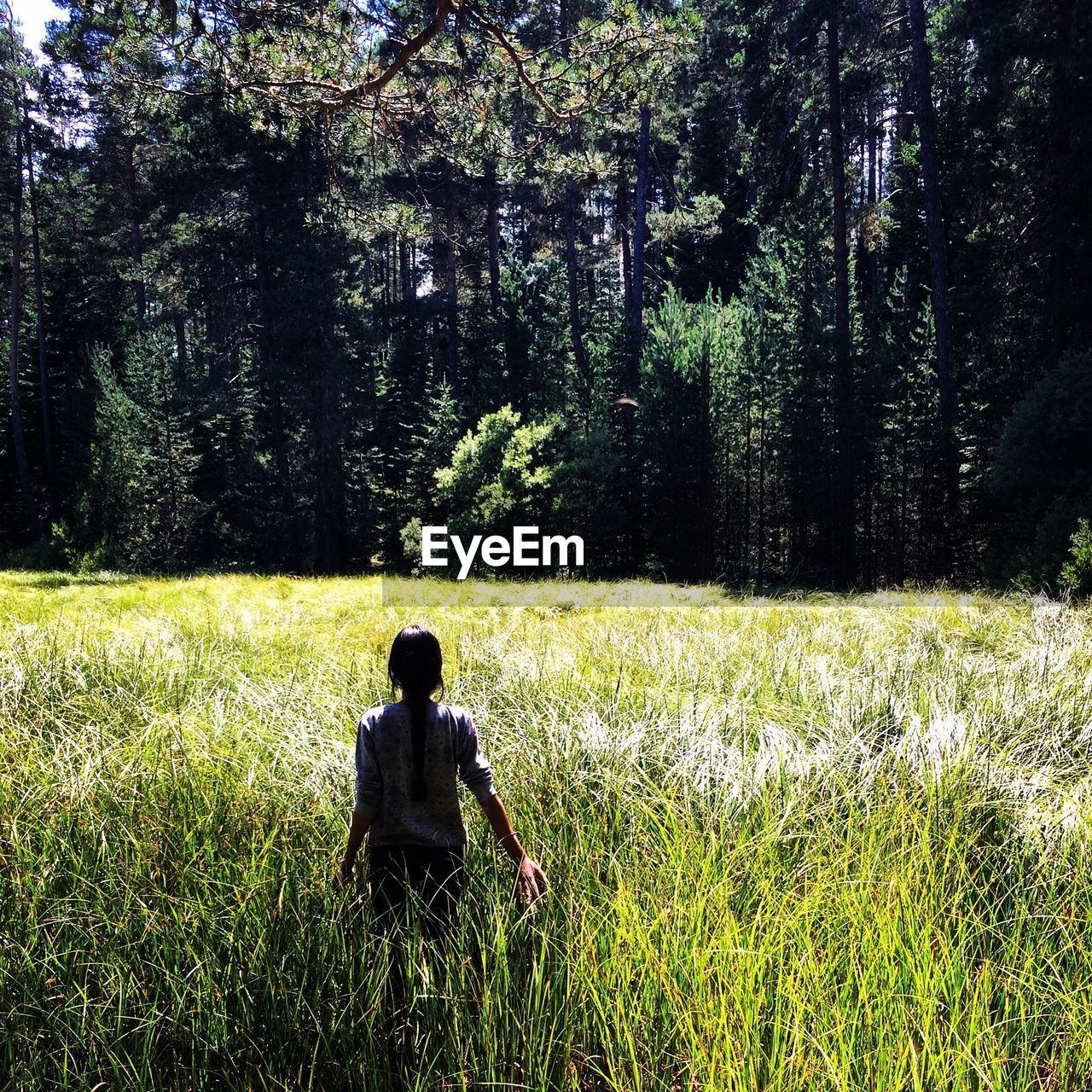 Rear view of woman standing on grassy field against trees