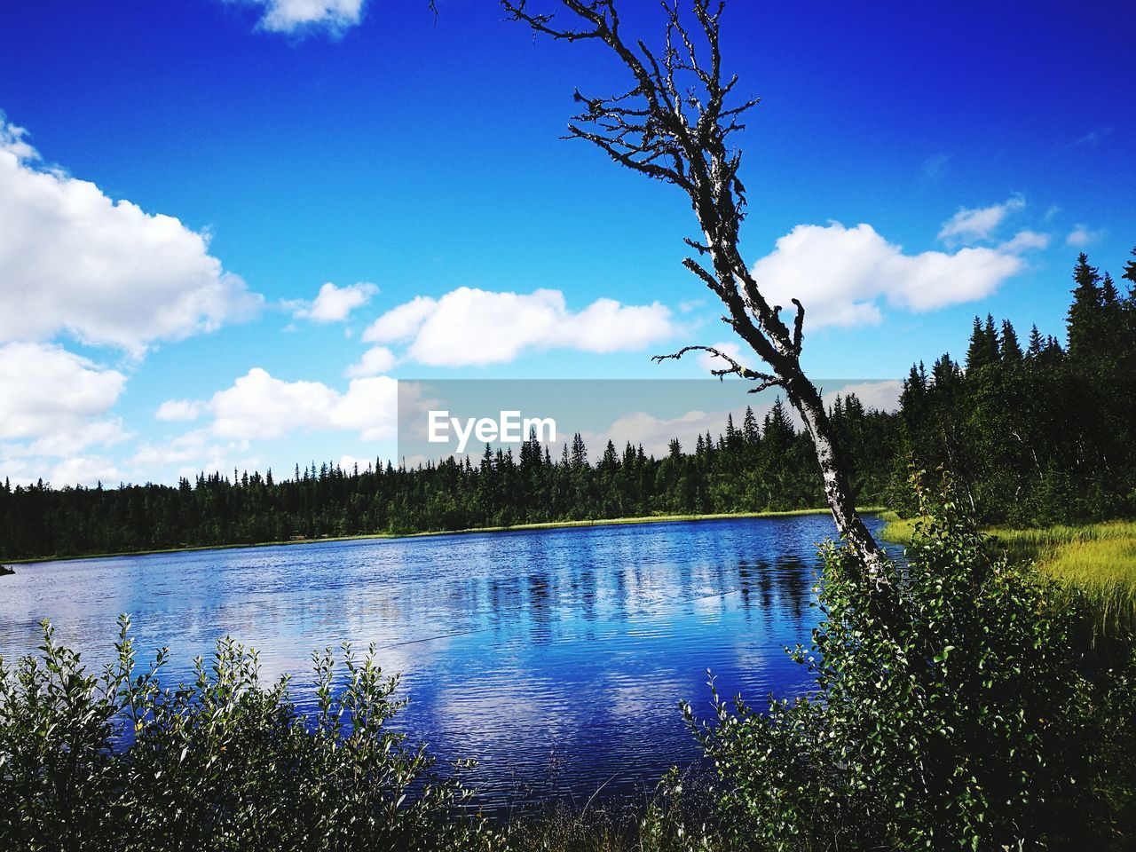 SCENIC VIEW OF RIVER AGAINST CLOUDY SKY