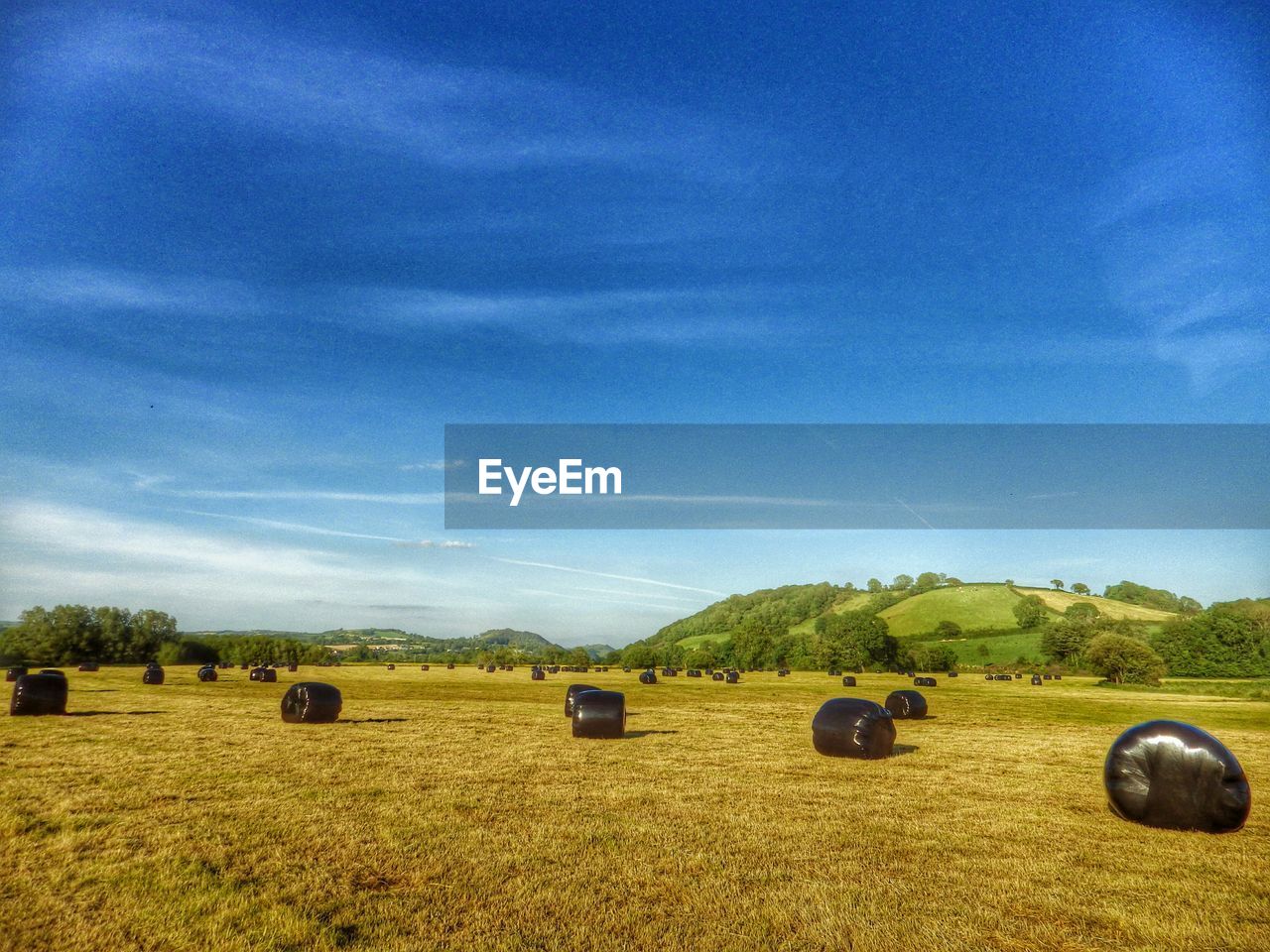 Packed hay bales on landscape against blue sky