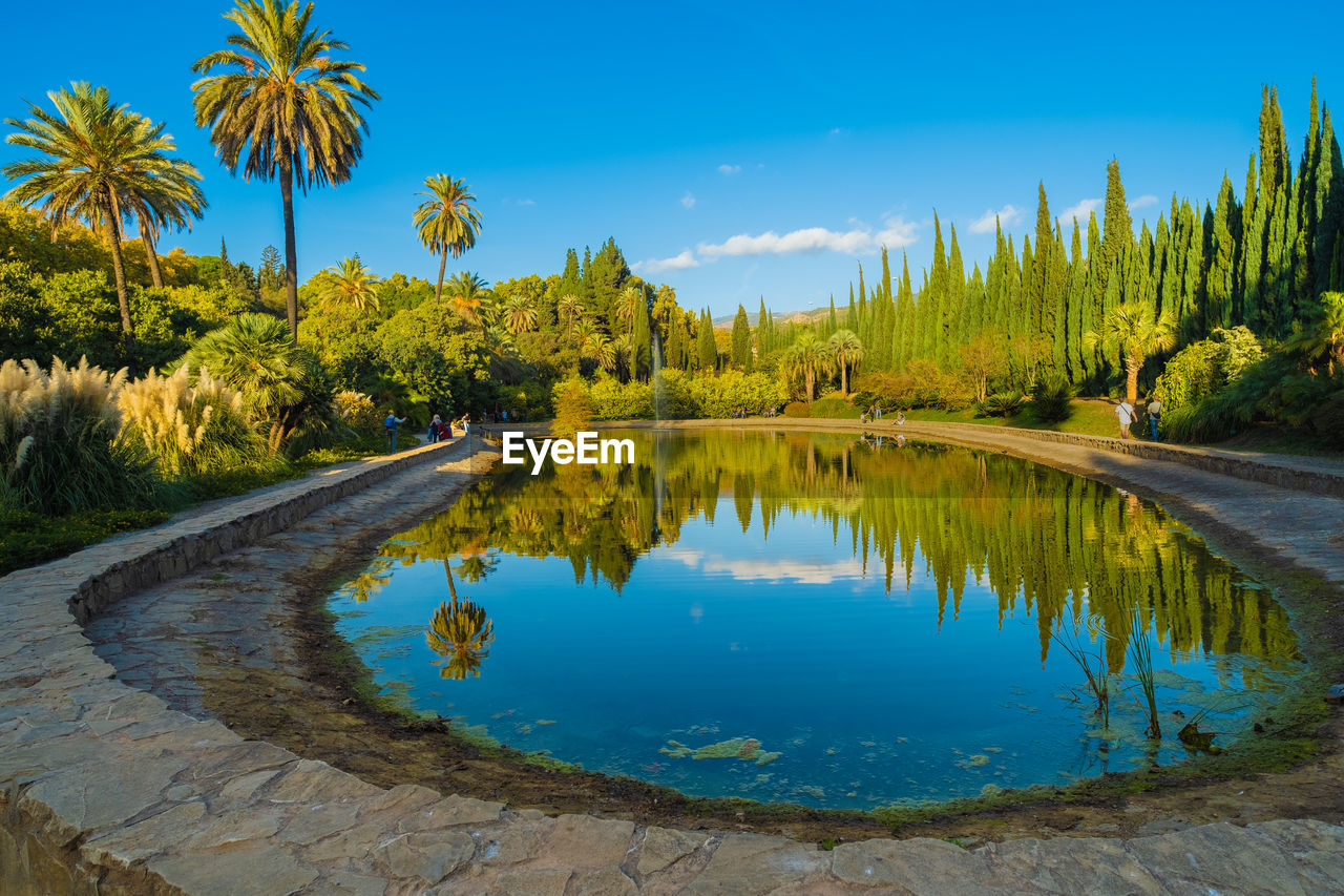 water, reflection, tree, plant, sky, nature, scenics - nature, beauty in nature, lake, blue, environment, tranquility, landscape, land, tranquil scene, travel destinations, tropical climate, no people, palm tree, travel, body of water, forest, autumn, outdoors, tourism, non-urban scene, idyllic, clear sky, vacation, day, trip, summer, coniferous tree, leaf, pine tree, reservoir, mountain, green