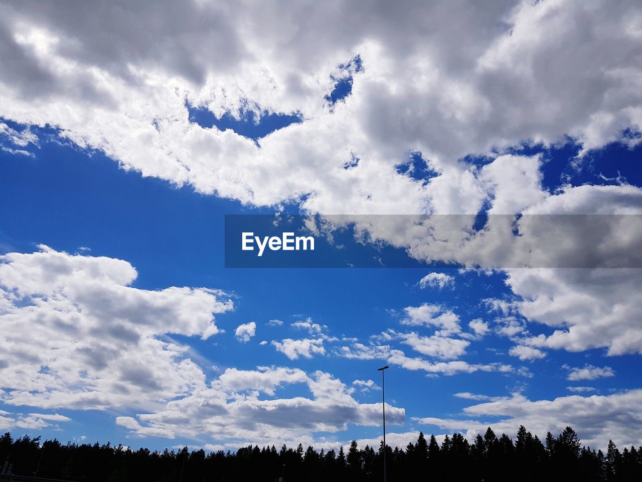 LOW ANGLE VIEW OF TREES AGAINST CLOUDY SKY