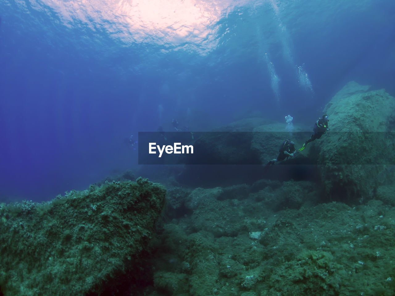 VIEW OF CORAL SWIMMING UNDERWATER