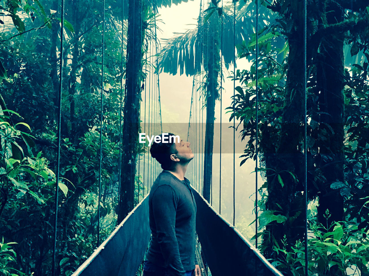 Side view of young man looking at forest