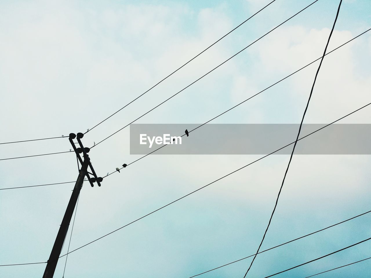 LOW ANGLE VIEW OF BIRDS ON CABLE AGAINST SKY