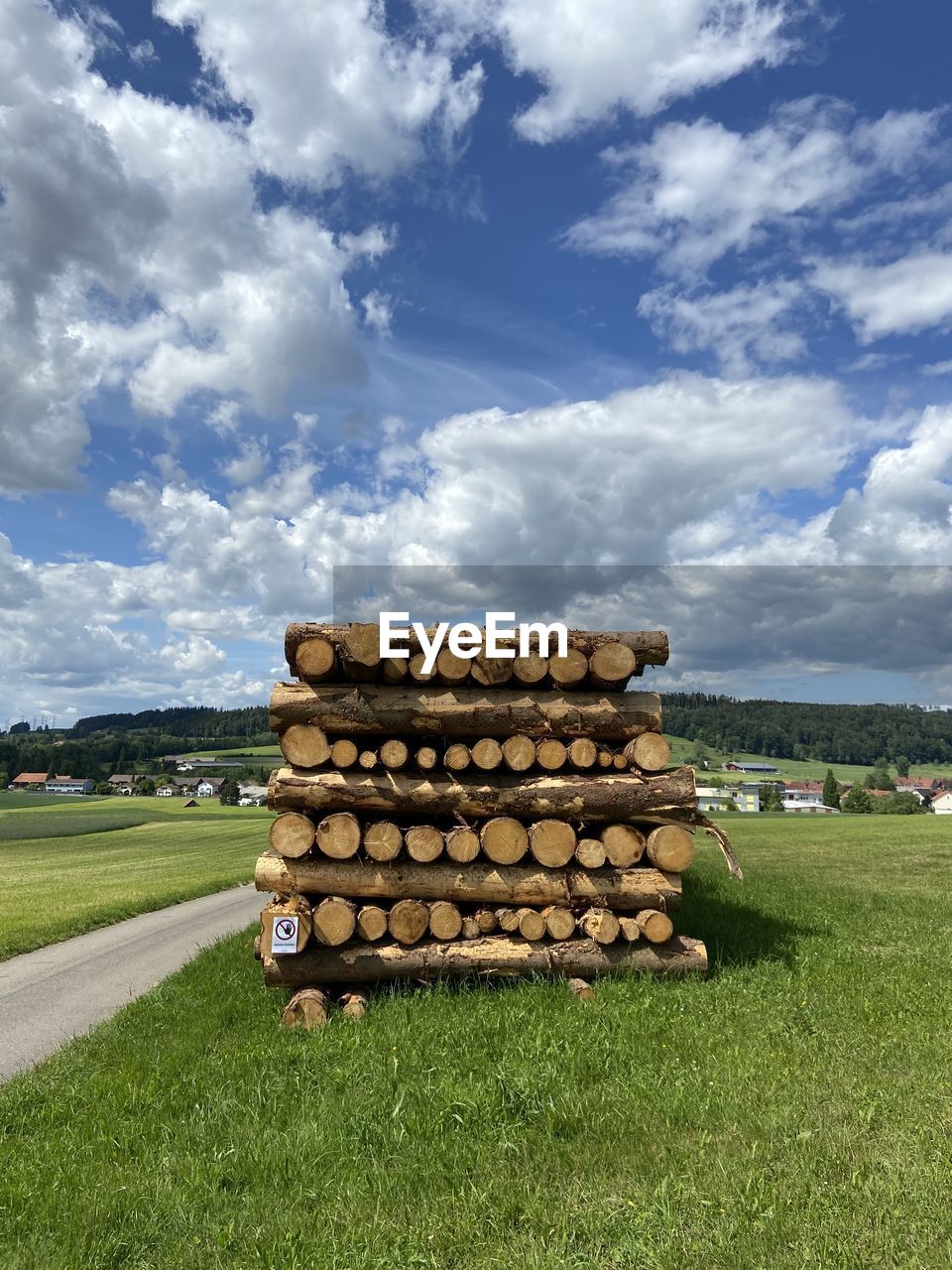 STACK OF LOGS IN FIELD