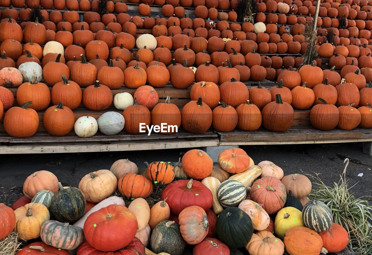 HIGH ANGLE VIEW OF PUMPKINS IN MARKET