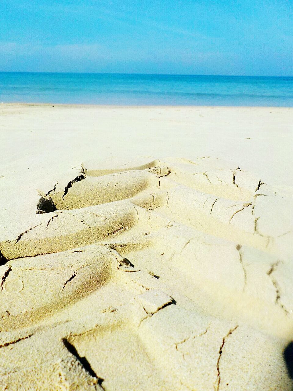 HIGH ANGLE VIEW OF CRAB ON BEACH