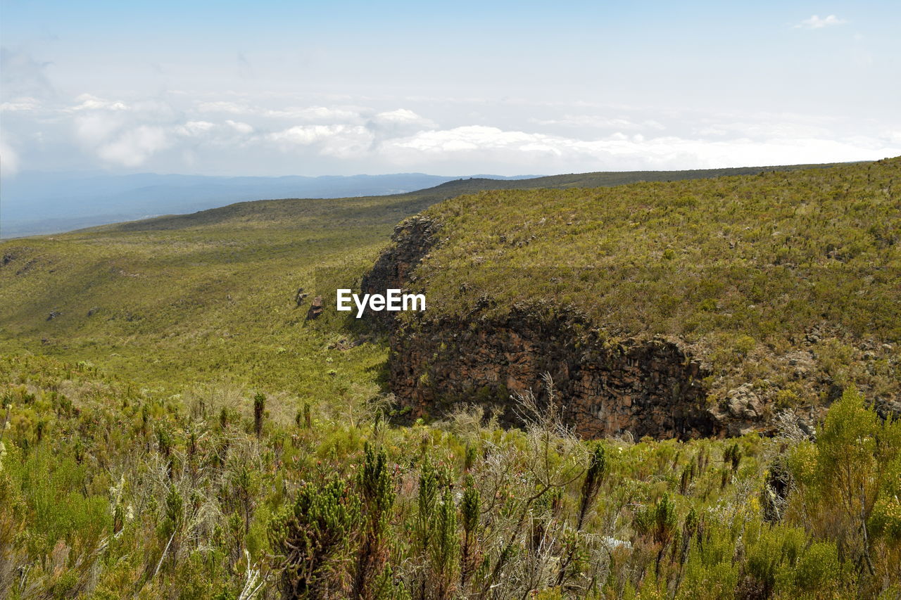 The high altitude moorland of mount kilimanjaro, tanzania