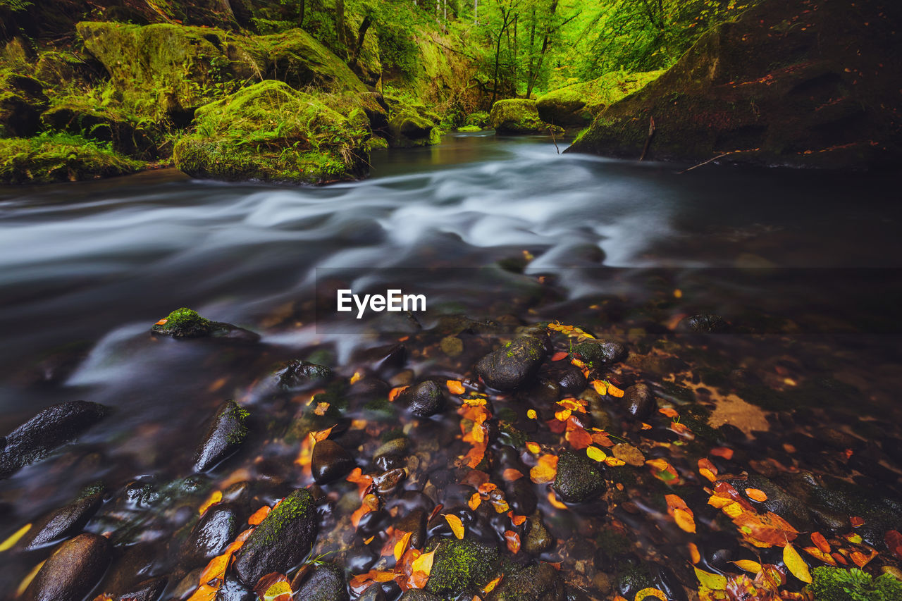 RIVER FLOWING THROUGH ROCKS