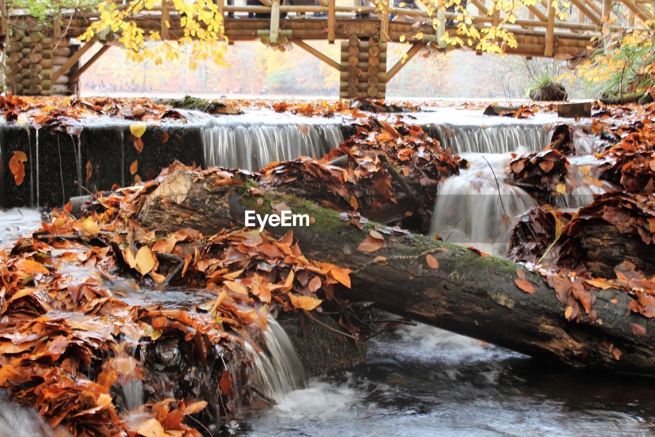 VIEW OF WATERFALL IN AUTUMN