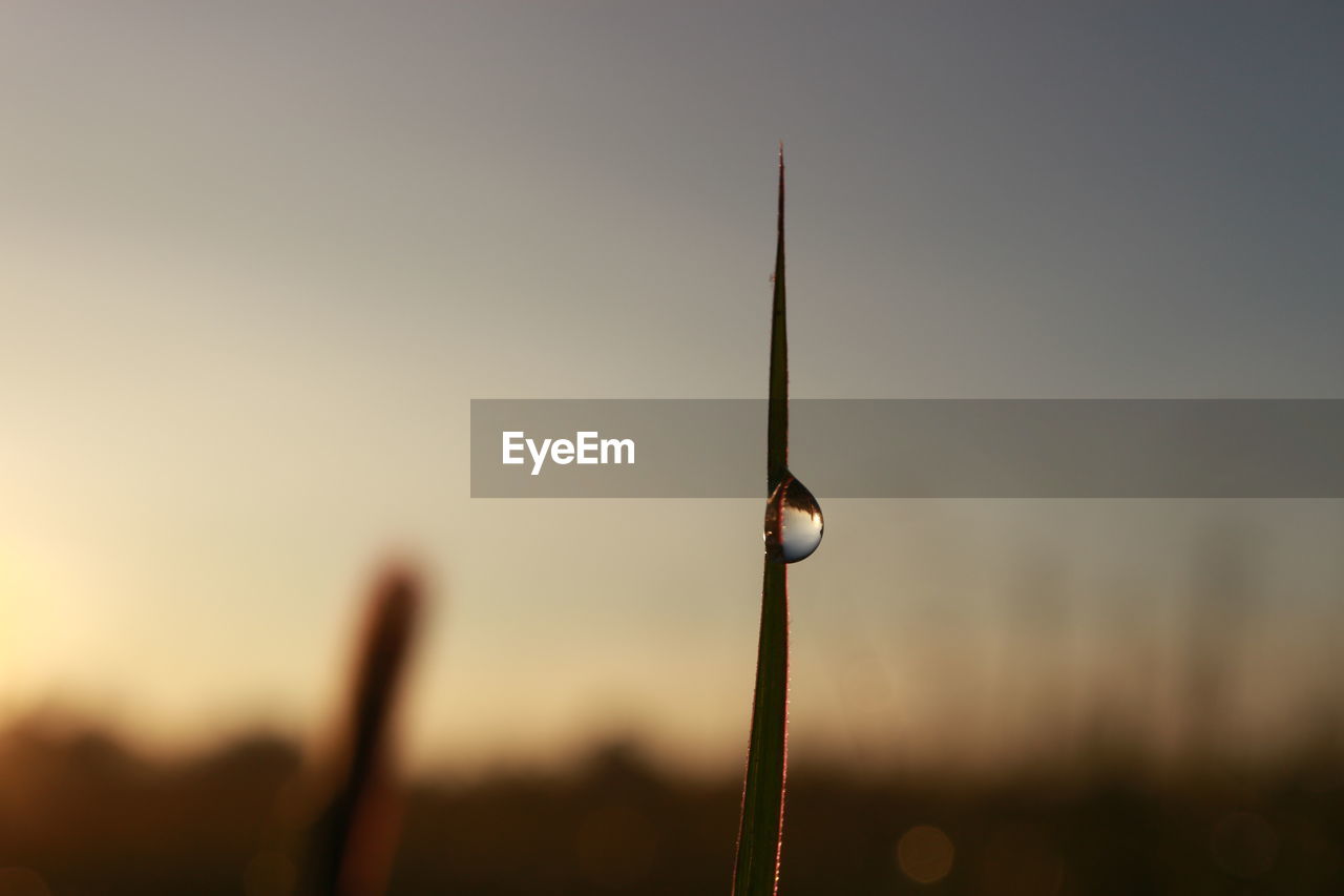 CLOSE-UP OF WATER DROP ON TWIG AGAINST SKY