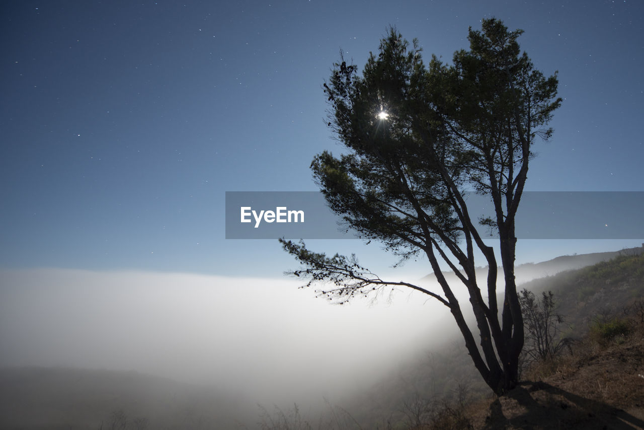 Fog envelops the santa monica mountains in malibu california