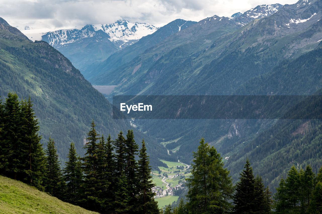 SCENIC VIEW OF PINE TREES ON MOUNTAIN AGAINST SKY