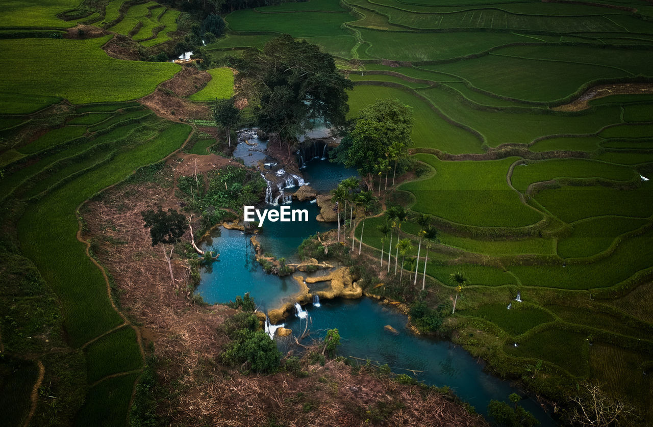 High angle view of agricultural field