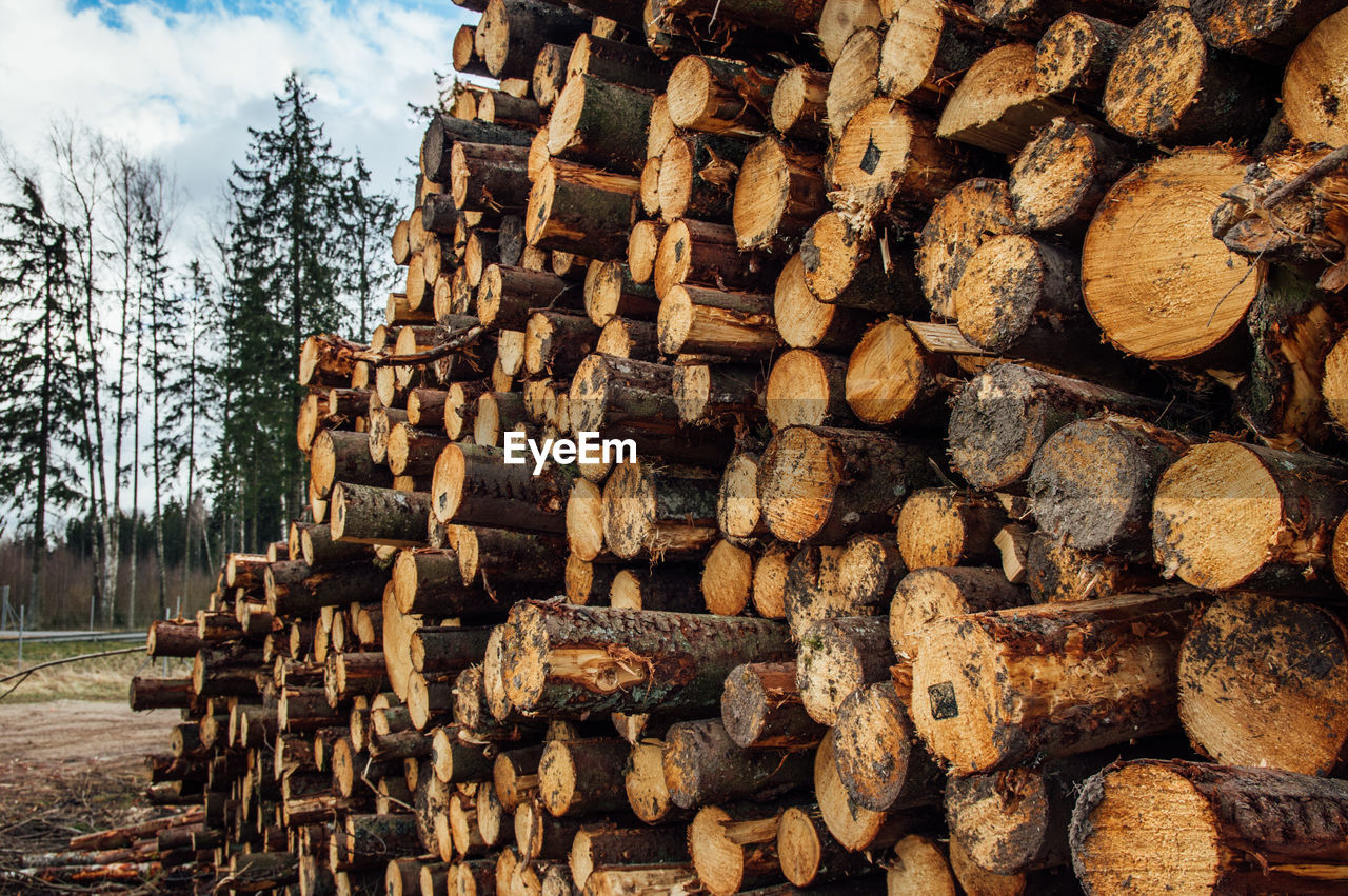 Full frame shot of firewood
