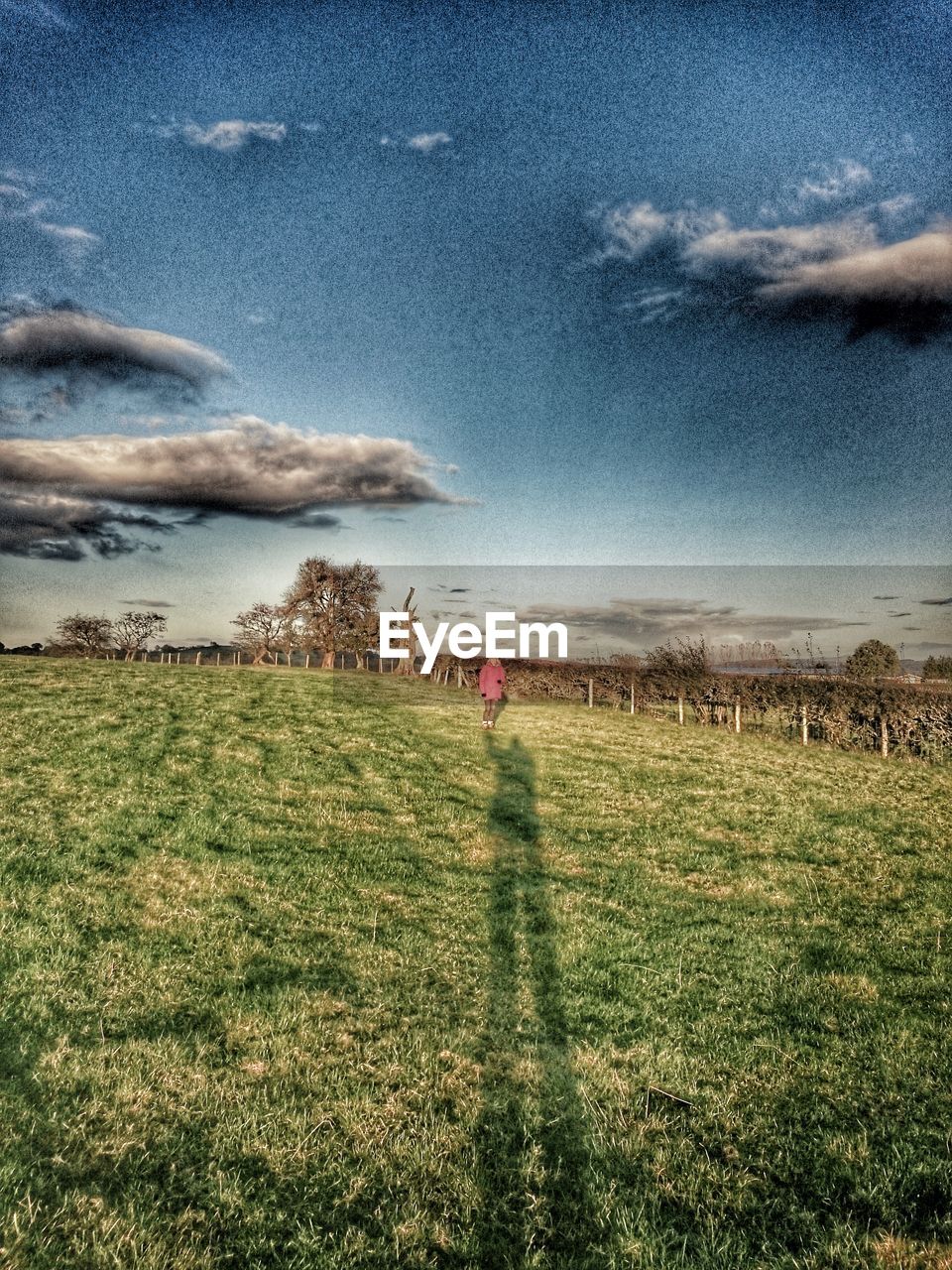 SCENIC VIEW OF FARM AGAINST SKY